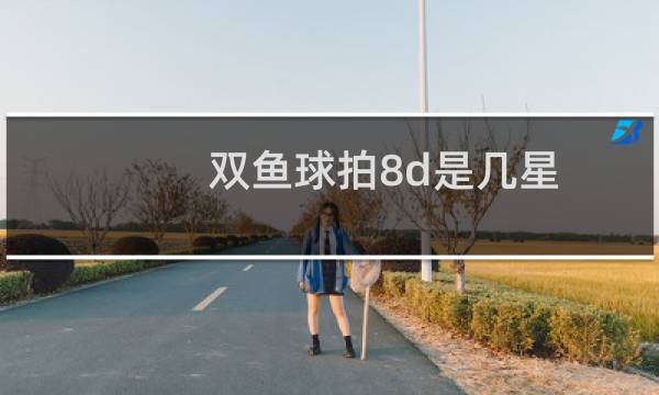 双鱼球拍8d是几星图片