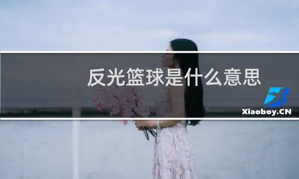 反光篮球是什么意思图片
