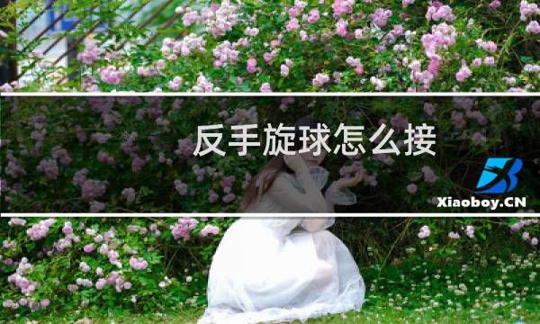 反手旋球怎么接图片