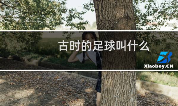 古时的足球叫什么图片