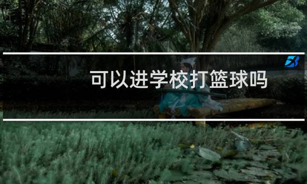 可以进学校打篮球吗图片