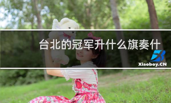 台北的冠军升什么旗奏什么歌图片