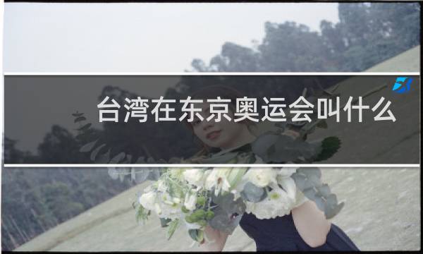 台湾在东京奥运会叫什么名字图片