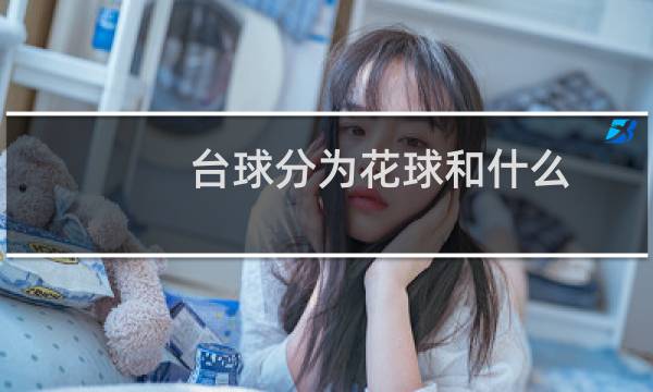 台球分为花球和什么图片