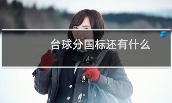 台球分国标还有什么图片