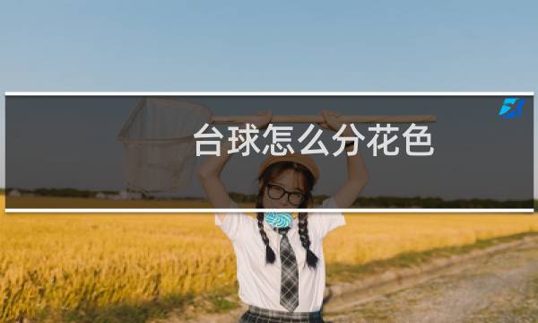 台球怎么分花色图片