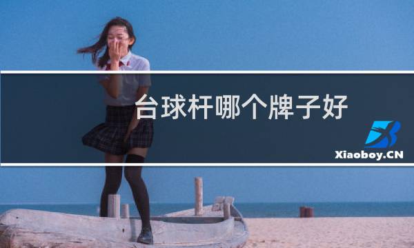 台球杆哪个牌子好图片