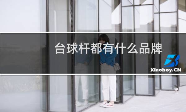 台球杆都有什么品牌图片