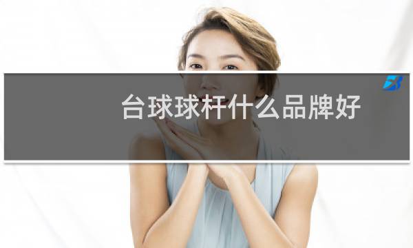 台球球杆什么品牌好图片