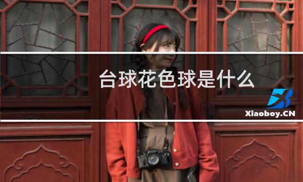 台球花色球是什么图片