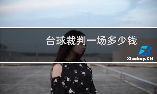 台球裁判一场多少钱图片