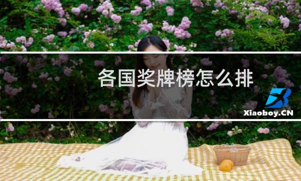 各国奖牌榜怎么排图片