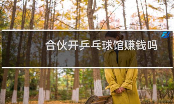 合伙开乒乓球馆赚钱吗图片