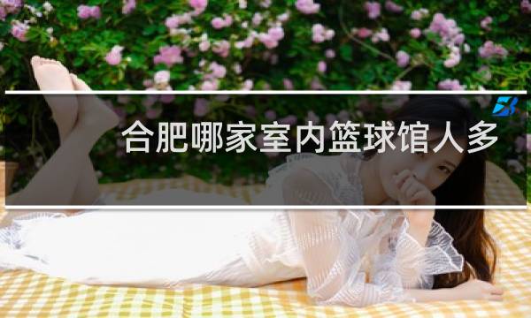 合肥哪家室内篮球馆人多图片