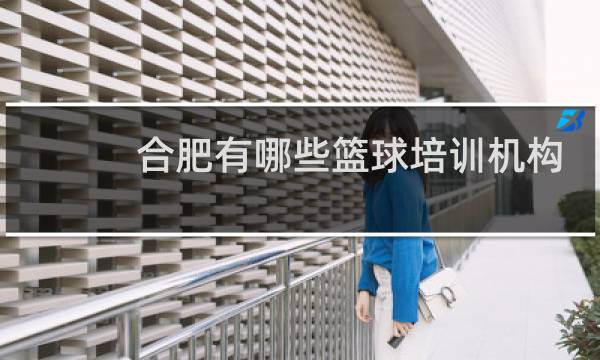 合肥有哪些篮球培训机构图片