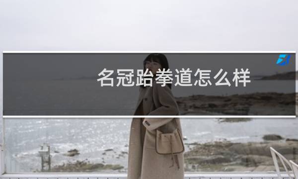 名冠跆拳道怎么样图片