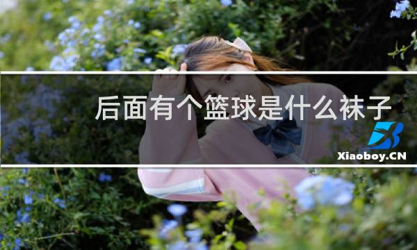 后面有个篮球是什么袜子图片