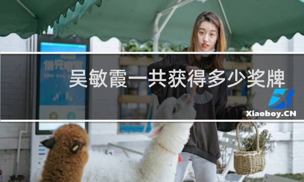 吴敏霞一共获得多少奖牌图片