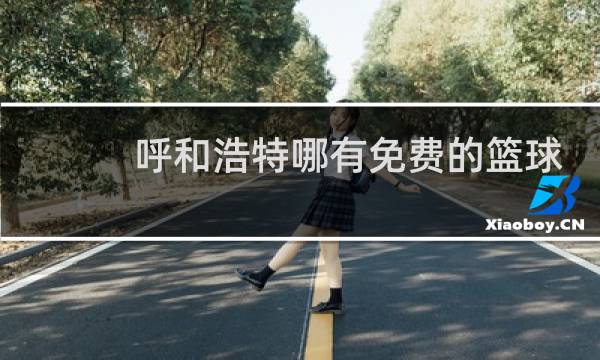 呼和浩特哪有免费的篮球馆图片