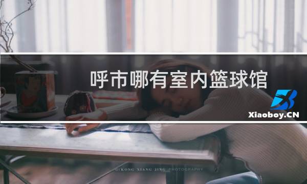 呼市哪有室内篮球馆图片