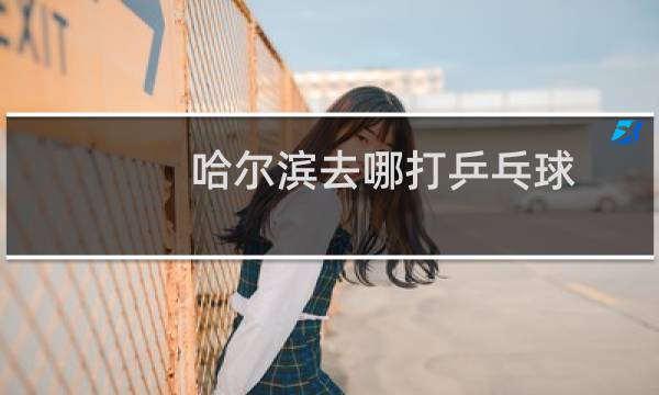 哈尔滨去哪打乒乓球图片
