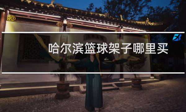 哈尔滨篮球架子哪里买图片