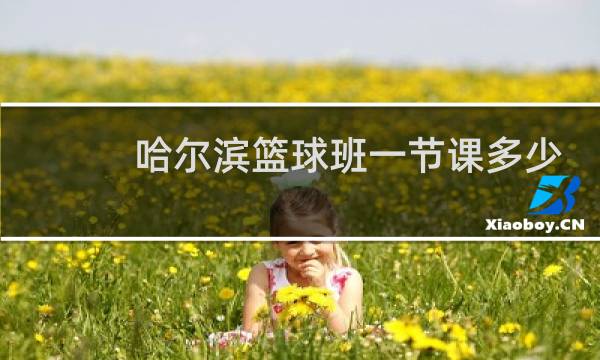哈尔滨篮球班一节课多少钱图片