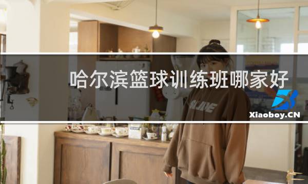 哈尔滨篮球训练班哪家好图片