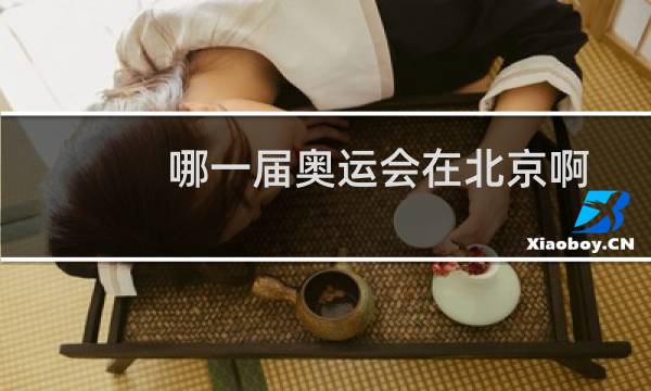 哪一届奥运会在北京啊图片