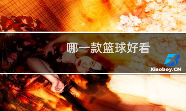 哪一款篮球好看图片