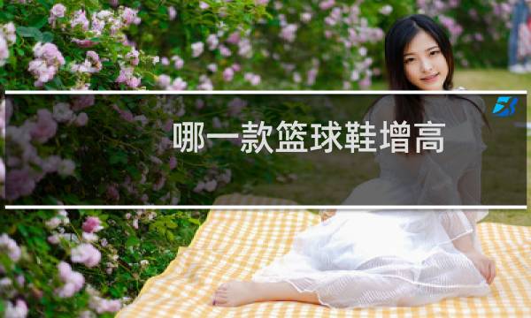 哪一款篮球鞋增高图片