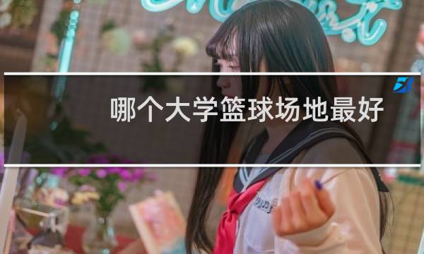 哪个大学篮球场地最好图片