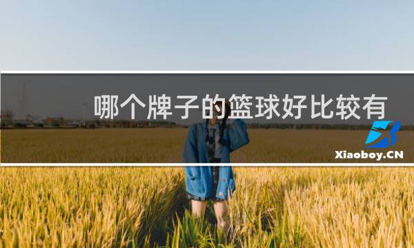 哪个牌子的篮球好比较有名图片