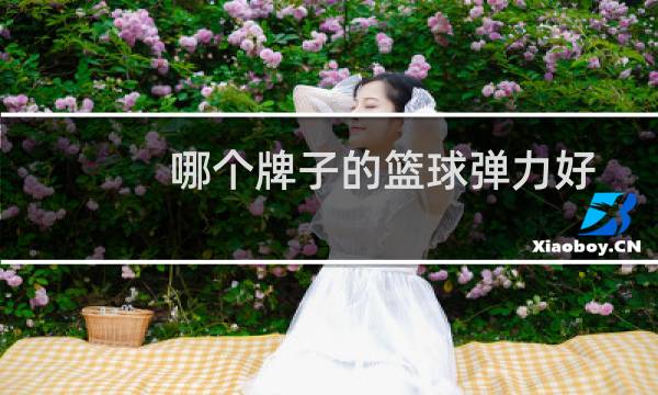 哪个牌子的篮球弹力好图片