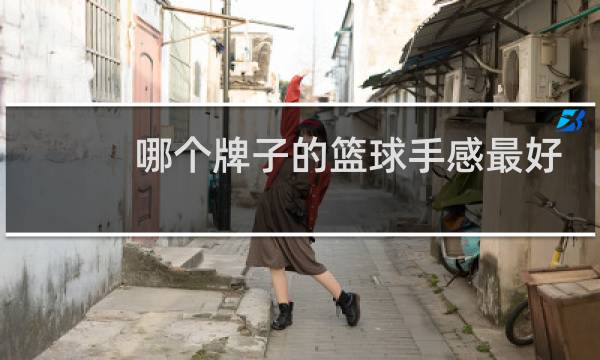 哪个牌子的篮球手感最好虎扑图片