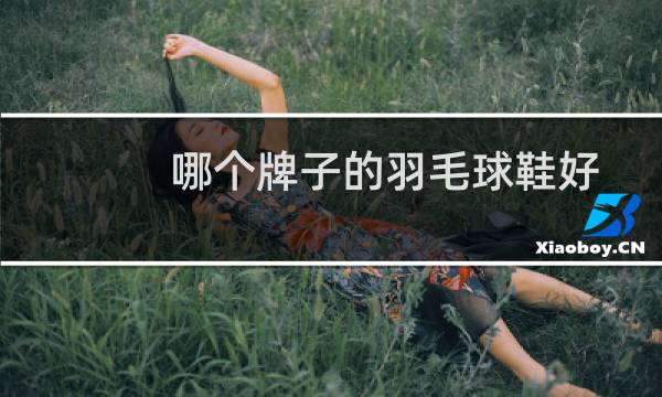 哪个牌子的羽毛球鞋好图片