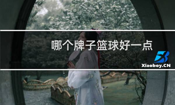 哪个牌子篮球好一点图片