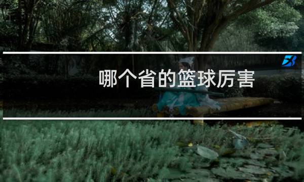 哪个省的篮球厉害图片
