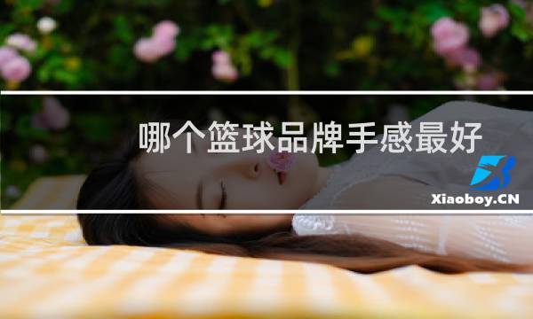 哪个篮球品牌手感最好图片