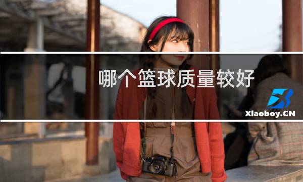 哪个篮球质量较好图片