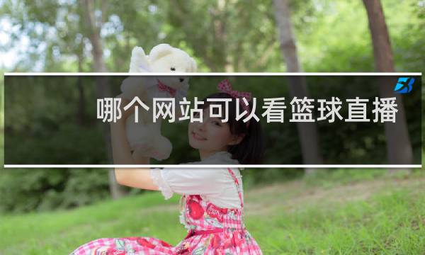 哪个网站可以看篮球直播图片