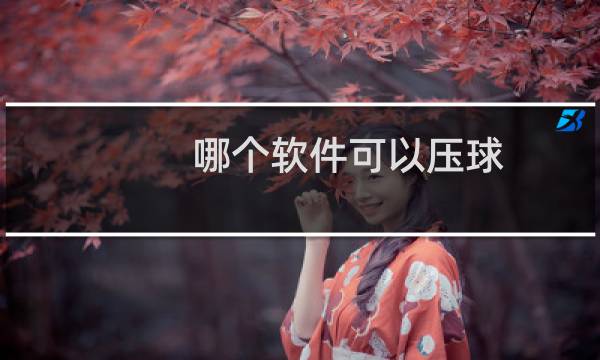 哪个软件可以压球图片