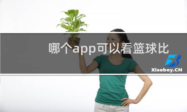 哪个app可以看篮球比赛回放图片