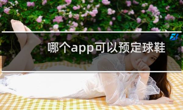 哪个app可以预定球鞋图片