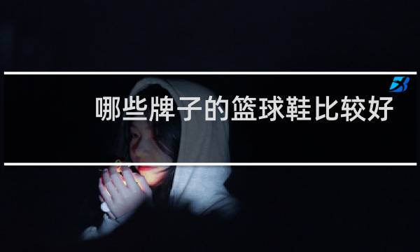 哪些牌子的篮球鞋比较好图片