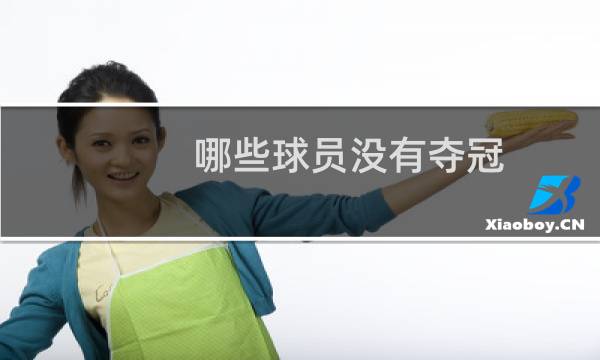 哪些球员没有夺冠图片