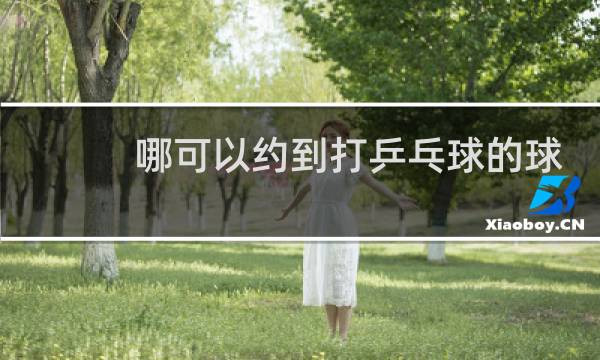 哪可以约到打乒乓球的球友图片