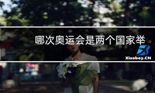 哪次奥运会是两个国家举办图片