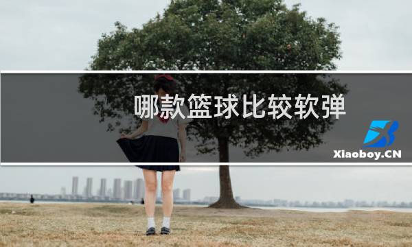 哪款篮球比较软弹图片