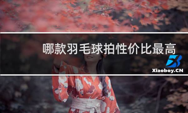 哪款羽毛球拍性价比最高图片